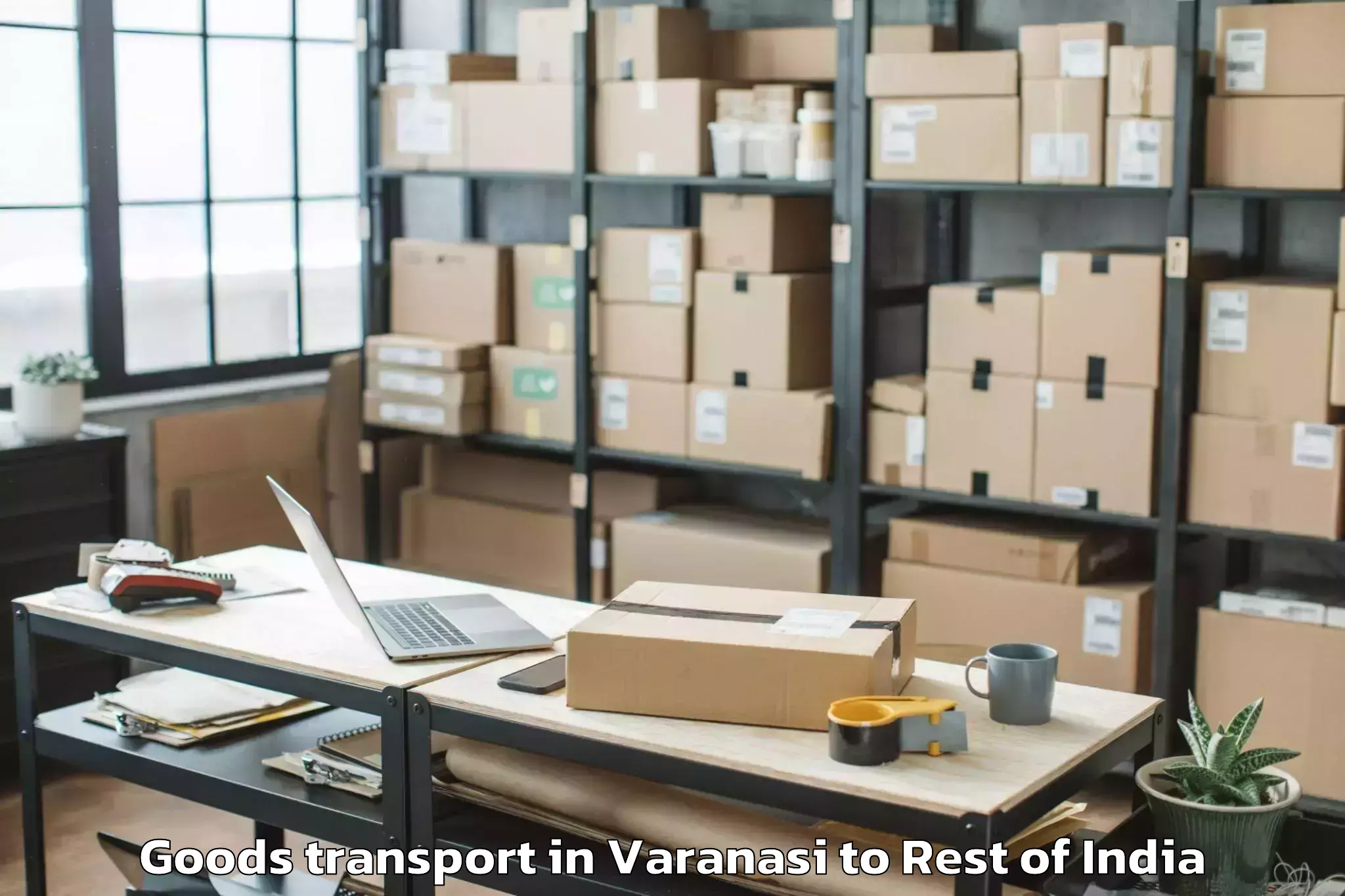 Trusted Varanasi to Dewasia Bangar Goods Transport